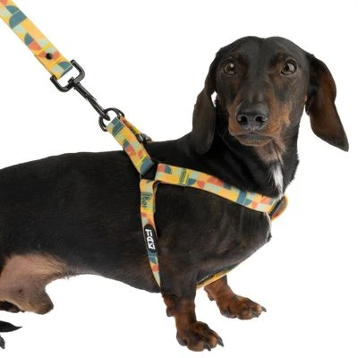 Arnés TIAKI Easy Care Para Perros 5 Arnés TIAKI Easy Care Para Perros - Imagen 5