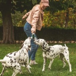 Cuerda Trébol Nomad Tales Spirit Juguete Para Perros -Mascota Suministros Ventas 333014 nomad tales spirit spieltau kleeblatt 01 7