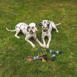 Cuerda Trébol Nomad Tales Spirit Juguete Para Perros -Mascota Suministros Ventas 333014 nomad tales spirit spieltau kleeblatt 03 4