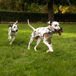 Cuerdas Varias Nomad Tales Spirit Multirope Juguete Para Perros 25 Cuerdas Varias Nomad Tales Spirit Multirope Juguete Para Perros -Mascota Suministros Ventas 333098 nomad tales spirit multirope hs 02 8