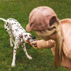 Cuerdas Varias Nomad Tales Spirit Multirope Juguete Para Perros 18 Cuerdas Varias Nomad Tales Spirit Multirope Juguete Para Perros -Mascota Suministros Ventas 333098 nomad tales spirit multirope hs 05 3