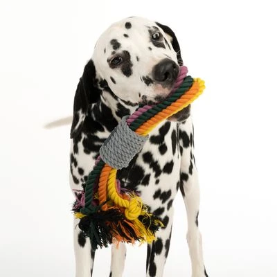 Cuerdas Varias Nomad Tales Spirit Multirope Juguete Para Perros 8 Cuerdas Varias Nomad Tales Spirit Multirope Juguete Para Perros - Imagen 8