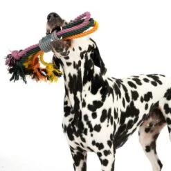 Cuerdas Varias Nomad Tales Spirit Multirope Juguete Para Perros 22 Cuerdas Varias Nomad Tales Spirit Multirope Juguete Para Perros -Mascota Suministros Ventas 333098 spirit multirope fg 0530 3