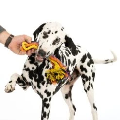 Cuerdas Varias Nomad Tales Spirit Multirope Juguete Para Perros 24 Cuerdas Varias Nomad Tales Spirit Multirope Juguete Para Perros -Mascota Suministros Ventas 333098 spirit multirope fg 0537 5