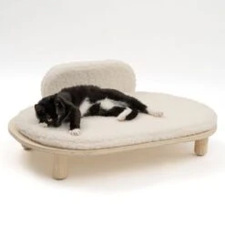 Sofá Osaka Modern Living Para Mascotas -Mascota Suministros Ventas 342803 modern living osaka katze 0642 5