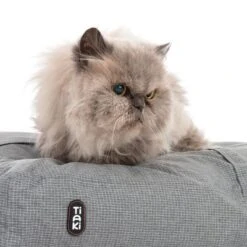 TIAKI Cojín De Peluche Abbey Para Mascotas 14 TIAKI Cojín De Peluche Abbey Para Mascotas -Mascota Suministros Ventas 343496 kuschelkissen abbey cat fg 8494 0