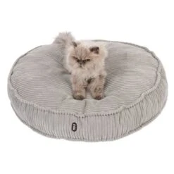 TIAKI Cojín De Peluche Conner Para Mascotas 20 TIAKI Cojín De Peluche Conner Para Mascotas -Mascota Suministros Ventas 343497 kuschelkissen conner cat fg 8509 8