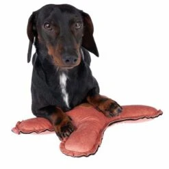 Blush Flying X Nomad Tales Juguete Para Perros -Mascota Suministros Ventas 344597 blush fying x fg 7914 4