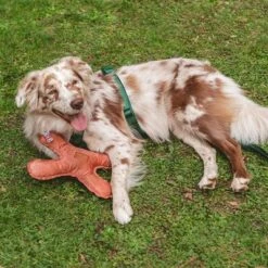 Blush Flying X Nomad Tales Juguete Para Perros -Mascota Suministros Ventas 344597 nomad tales blush flyingx hs 02 2