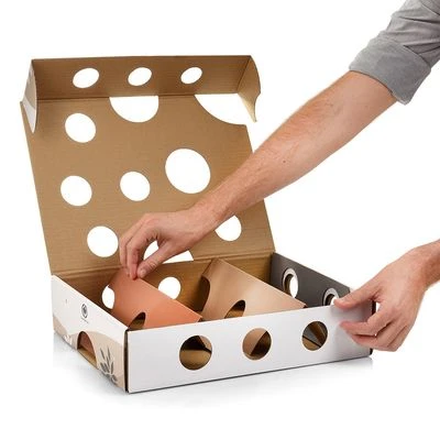 Canadian Cat Company MagicBox Juego De Inteligencia Para Gatos 7 Canadian Cat Company MagicBox Juego De Inteligencia Para Gatos - Imagen 7