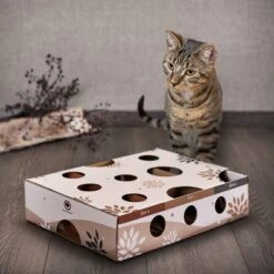 Canadian Cat Company MagicBox Juego De Inteligencia Para Gatos 29 Canadian Cat Company MagicBox Juego De Inteligencia Para Gatos -Mascota Suministros Ventas 346599 canadiancat company intelligenzspielzeug magicbox hs 11 0