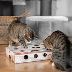 Canadian Cat Company MagicBox Juego De Inteligencia Para Gatos 19 Canadian Cat Company MagicBox Juego De Inteligencia Para Gatos -Mascota Suministros Ventas 346599 canadiancat company intelligenzspielzeug magicbox hs 13 9