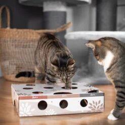 Canadian Cat Company MagicBox Juego De Inteligencia Para Gatos 23 Canadian Cat Company MagicBox Juego De Inteligencia Para Gatos -Mascota Suministros Ventas 346599 canadiancat company intelligenzspielzeug magicbox hs 16 0