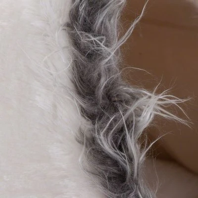 Cueva White Dots Para Mascotas 7 Cueva White Dots Para Mascotas - Imagen 7