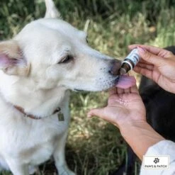 PAWS & PATCH Complemento Para La Ansiedad 5 PAWS & PATCH Complemento Para La Ansiedad -Mascota Suministros Ventas 347097 paws patch angst unsicherheit hs 02 8