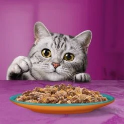 WHISKAS DUO Jumbopack 96 X 85 G En Bolsitas 19 WHISKAS DUO Jumbopack 96 X 85 G En Bolsitas -Mascota Suministros Ventas 355698 mars multipack whiskasduo portionsbeutel surfturf 96x85g hs 05 4