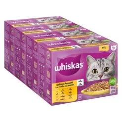 Megapack Whiskas 1+ Años 48 X 85 G En Bolsitas 36 Megapack Whiskas 1+ Años 48 X 85 G En Bolsitas -Mascota Suministros Ventas 355699 pla megapack whiskas 1plus adult frischebeutel auswahl 48x85g hs 01 3