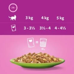 Megapack Whiskas 1+ Años 48 X 85 G En Bolsitas 29 Megapack Whiskas 1+ Años 48 X 85 G En Bolsitas -Mascota Suministros Ventas 355702 megapack whiskas 1plus adult frischebeutel gemischte auswahlgelee 48x85g hs 07 8