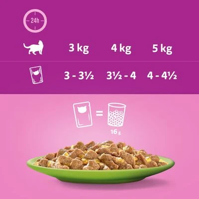 Megapack Whiskas 1+ Años 48 X 85 G En Bolsitas 10 Megapack Whiskas 1+ Años 48 X 85 G En Bolsitas - Imagen 10