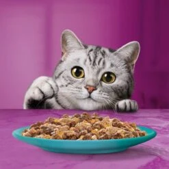 Whiskas Duo 48 X 85 G Pack Mixto En Bolsitas -Mascota Suministros Ventas 355996 mars multipack whiskas duo portionsbeutel oceandelights gelee 48x85g hs 03 9