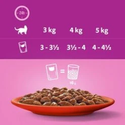 Megapack Whiskas 1+ Años 48 X 85 G En Bolsitas 32 Megapack Whiskas 1+ Años 48 X 85 G En Bolsitas -Mascota Suministros Ventas 356097 megapack whiskas 1plus adult frischebeutel auswahlsausee 48x85g hs 10 5