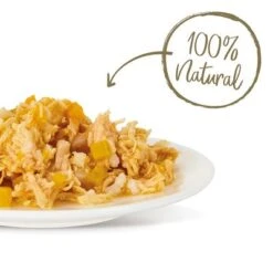 Applaws Selection 12 X 70g -Mascota Suministros Ventas 361999 applaws huhn kurbis hs 03 2