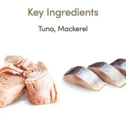 Pack Ahorro: Applaws En Gelatina 32 X 70 G -Mascota Suministros Ventas 362008 applaws pouch thunfischmakrele 70g hs 02 2 1