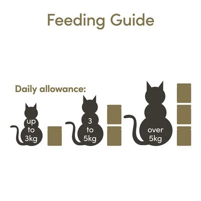 Applaws En Gelatina 16 X 70 G 15 Applaws En Gelatina 16 X 70 G - Imagen 15