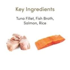 Applaws Latas En Caldo Para Gatos 12 X 70 G 25 Applaws Latas En Caldo Para Gatos 12 X 70 G -Mascota Suministros Ventas 362102 applaws bruehe 6x156g hs 06 1 2