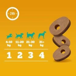 Pedigree Multivitaminas Para El Sistema Inmunitario -Mascota Suministros Ventas 372107 pedigree multivitamins immunsystem hs 07 6