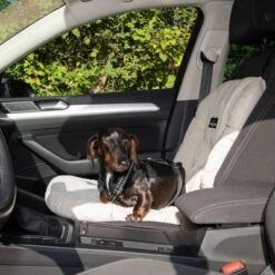 Asiento Para El Coche Nomad Tales Blush Para Perros, Beige 10 Asiento Para El Coche Nomad Tales Blush Para Perros, Beige -Mascota Suministros Ventas 376802 nt dog car seat fg 4824 8