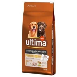 Ultima Golden & Labrador Retriever Pollo