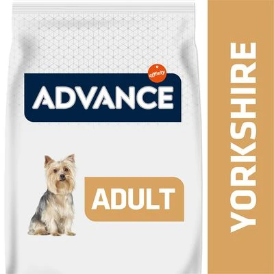 Advance Yorkshire Terrier Adult 1 Advance Yorkshire Terrier Adult