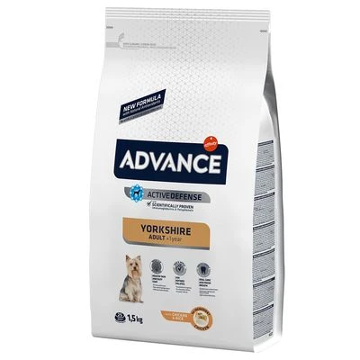 Advance Yorkshire Terrier Adult 2 Advance Yorkshire Terrier Adult - Imagen 2