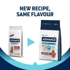 Advance Medium Senior Con Pollo Y Arroz -Mascota Suministros Ventas 397796 affinity advance medium senior hs 01 8