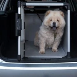 Jaula De Transporte Trixie De Aluminio 32 Jaula De Transporte Trixie De Aluminio -Mascota Suministros Ventas 42815 trixie transportbox alu fg 3618 0