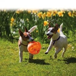 KONG Jumbler Pelota Para Perros -Mascota Suministros Ventas 439783 kong jumbler im einsatz 1