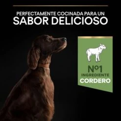 PURINA PRO PLAN Large Adult Athletic Sensitive Digestion Cordero Y Arroz -Mascota Suministros Ventas 44142537 es es 221230 1 3