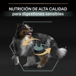 PURINA PRO PLAN Medium Adult Sensitive Digestion Cordero Y Arroz 12 PURINA PRO PLAN Medium Adult Sensitive Digestion Cordero Y Arroz -Mascota Suministros Ventas 44142622 es es 221230 1 3 1