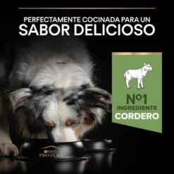 PURINA PRO PLAN Medium Adult Sensitive Digestion Cordero Y Arroz 15 PURINA PRO PLAN Medium Adult Sensitive Digestion Cordero Y Arroz -Mascota Suministros Ventas 44142622 es es 221230 1 9