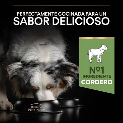 PURINA PRO PLAN Medium Adult Sensitive Digestion Cordero Y Arroz 7 PURINA PRO PLAN Medium Adult Sensitive Digestion Cordero Y Arroz - Imagen 7
