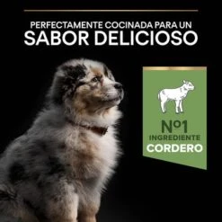 Purina Pro Plan Medium Puppy Sensitive Digestion Cordero Y Arroz 16 Purina Pro Plan Medium Puppy Sensitive Digestion Cordero Y Arroz -Mascota Suministros Ventas 44142631 es es 221230 1 6