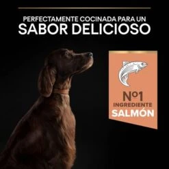 Purina Pro Plan Large Athletic Adult Sensitive Skin Salmón 15 Purina Pro Plan Large Athletic Adult Sensitive Skin Salmón -Mascota Suministros Ventas 44152227 es es 221230 1 2
