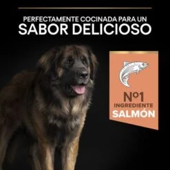 PURINA PRO PLAN Large Robust Adult Sensitive Skin Salmón -Mascota Suministros Ventas 44152235 es es 221230 1 1 2