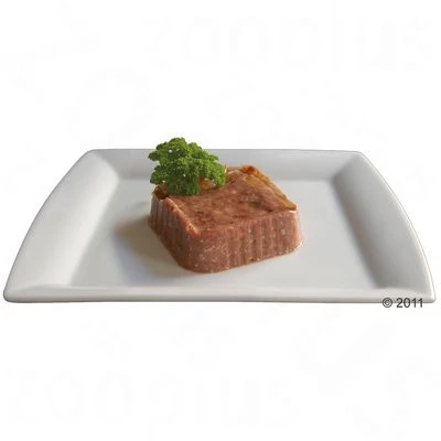 Beaphar Dieta Insuficiencia Renal 6 X 100 G 6 Beaphar Dieta Insuficiencia Renal 6 X 100 G - Imagen 6