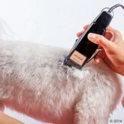 Máquina Cortapelo Moser 1400 -Mascota Suministros Ventas 465374 schermaschine moser 1400 03 3