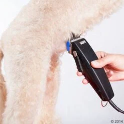 Máquina Cortapelo Moser Rex -Mascota Suministros Ventas 465375 schermaschine moser rex 02 5