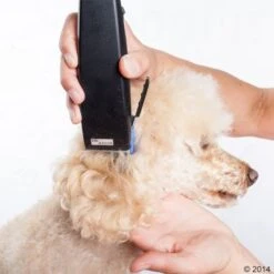 Máquina Cortapelo Moser Rex -Mascota Suministros Ventas 465375 schermaschine moser rex 03 5