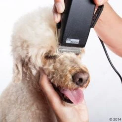 Máquina Cortapelo Moser Rex -Mascota Suministros Ventas 465375 schermaschine moser rex 04 0