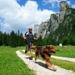 Cinturón De Canicross NEEWA -Mascota Suministros Ventas 505647 hp neewa canicross jogging gurt im einsatz 3